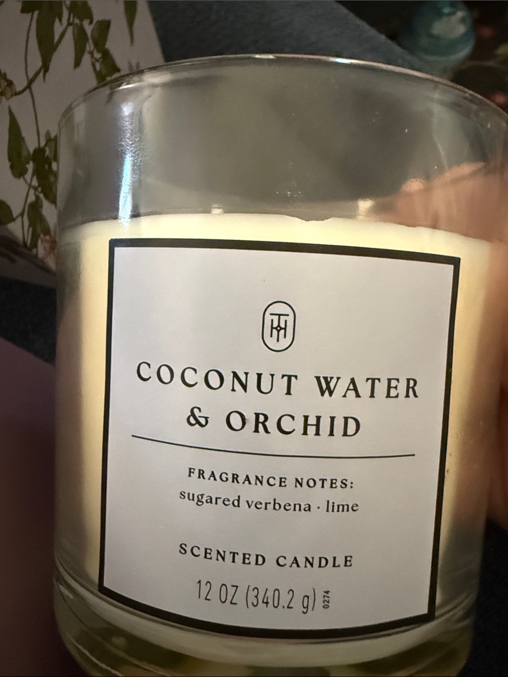 New Threshold Coconut + orchid Candle